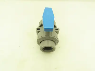 Plast-o-matic MBV100EPT-CP True Blue 1" NPT Threaded True Union Ball Valve EPDM