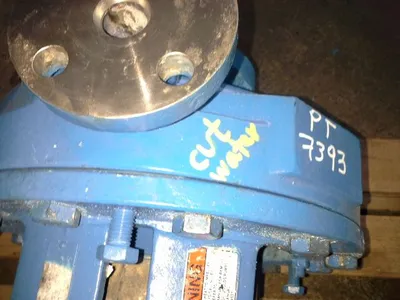 USED Goulds 3196 LTX