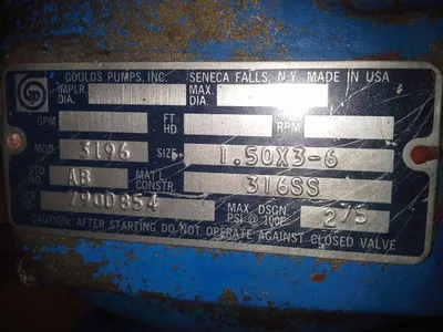 USED Goulds 3196 STX