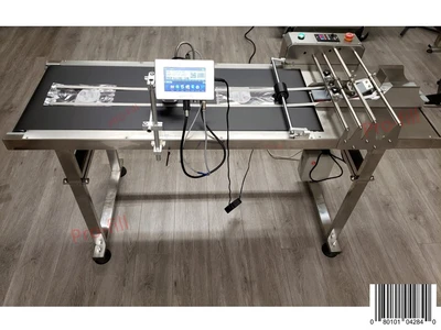 Bag Sorting Conveyor #42840 Rental