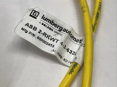 ASB 2-RKWT 4-3-632/0 6M, 6000002453 | Lumberg Automation ASB 2-RKWT 4-3-632/0 6M Splitter Cable 6000002453 - Used