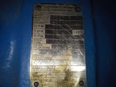 USED Goulds 3175