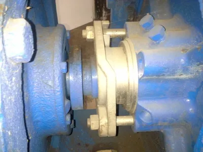 USED Goulds 3175