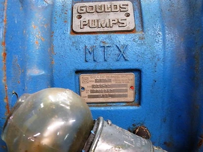 USED Goulds 3196 MTX