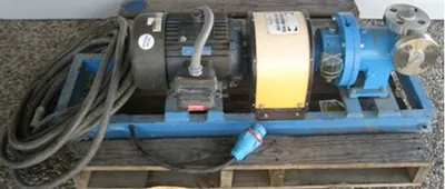 Used LEESON EVK184TTG34002ARL Rotary Pumps Texas US | Bamko Surplus Process Equipment #934255