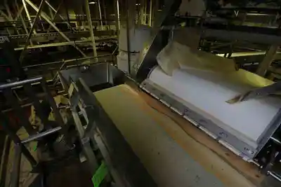 25 " wide ss conveyor