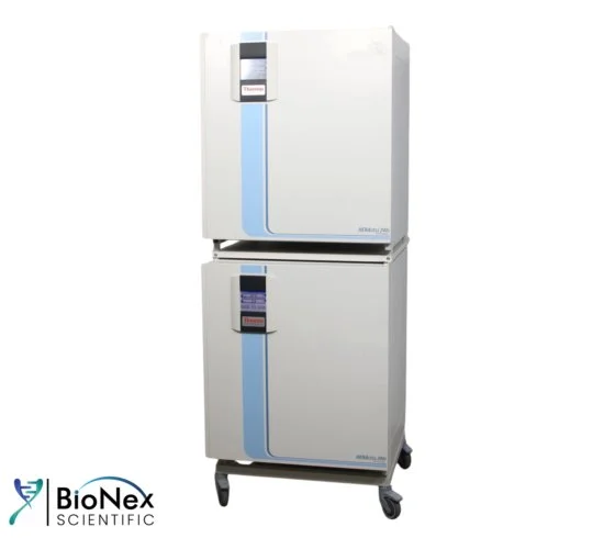 Used THERMO FISHER SCIENTIFIC HERACELL 240I CO2 Incubators New Jersey US | Bionex Scientific LLC #882452