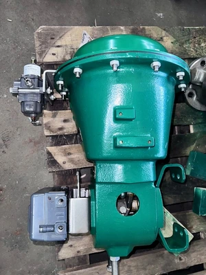 Fisher 2052/2 Pneumatic Actuator with DVC2000 HC Positioner