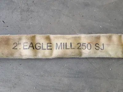 USED EAGLE BURGMANN 250 SJ