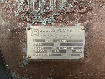 USED Goulds 3196 XLT