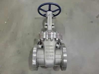 8" Class 300 Gate Valve B16.34