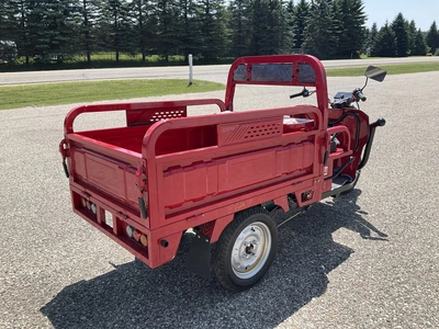Used 2026 SDLANCH ET13 Utility Vehicles Michigan US | Miedema Asset Management Group #1324287