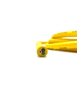 USED LUMBERG AUTOMATION CORDSET