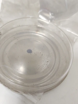NEW FRANGIBLE DISC INC. Disc
