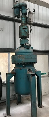 300 L S/S High Pressure Jktd Reactor
