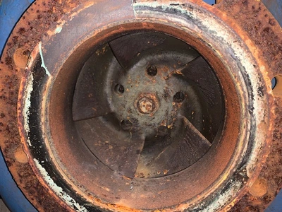 USED Goulds 3196