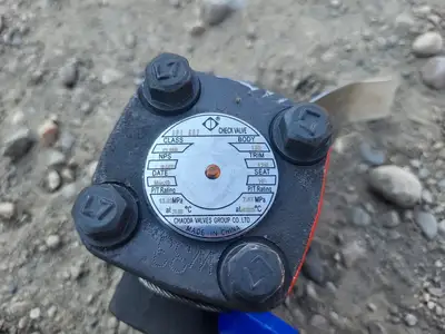 2019 3/4" Class 800 Check Valve API 602