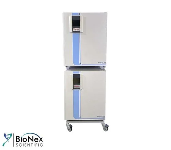 Used THERMO FISHER SCIENTIFIC HERACELL 150I CO2 Incubators New Jersey US | Bionex Scientific LLC #799877