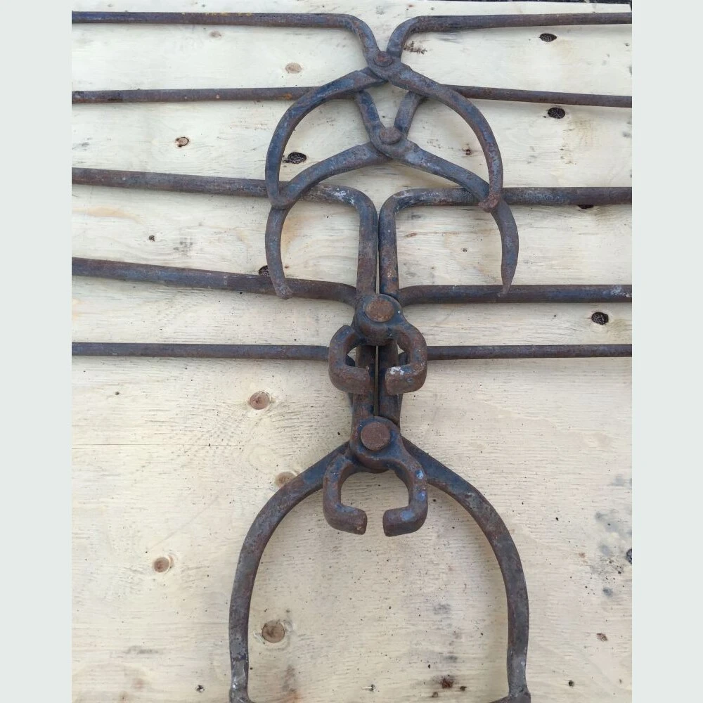 Lifting Tongs