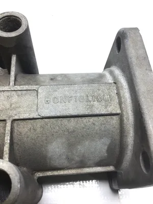 Bonfiglioli RAN25/SA Differential Gear Reducer