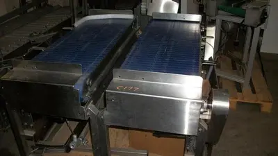 Conveyor, Belt, 7.5" x 4', Plastic, 2-Line, 1/2 Hp, (2) #C741445