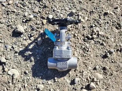 3/4" Class 800 Gate Valve API 602