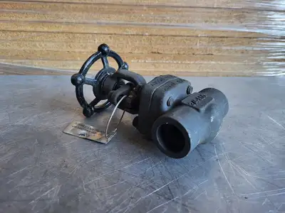 3/4" Class 800 Gate Valve B16.34