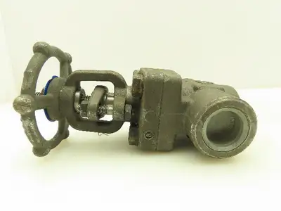 DSI 4101A5-18 Steel 1" NPT Threaded x Socket Gate Valve 1990 PSI #800  LOT OF 2