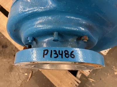 USED Goulds 3175
