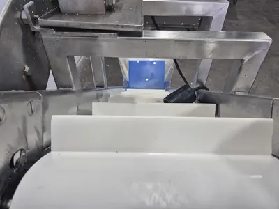 Incline Conveyor with Hopper