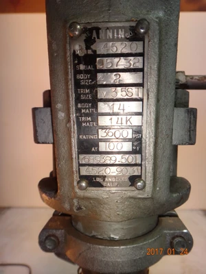 Annin 2", Class 3600, 316SS, Cryogenic Control Valve