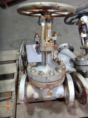 Pacific 4", Class 600, WCB, Gate Valve