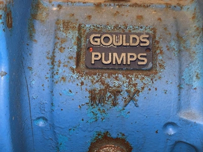 USED Goulds CV3196