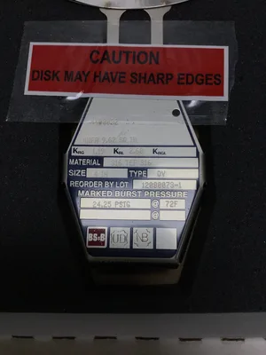 BS & B Safety Systems 4″ DV Rupture Disk 12880873-1 (LT2)