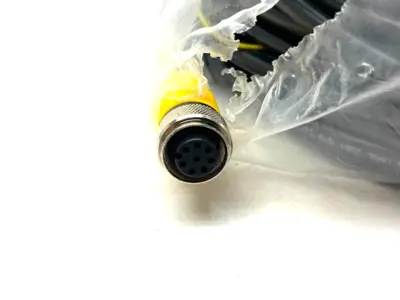 USED TURCK EUROFAST SINGLE ENDED CORDSET M12 8-PIN FEMALE