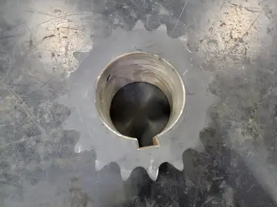 Roller Chain Sprocket TS100C19405