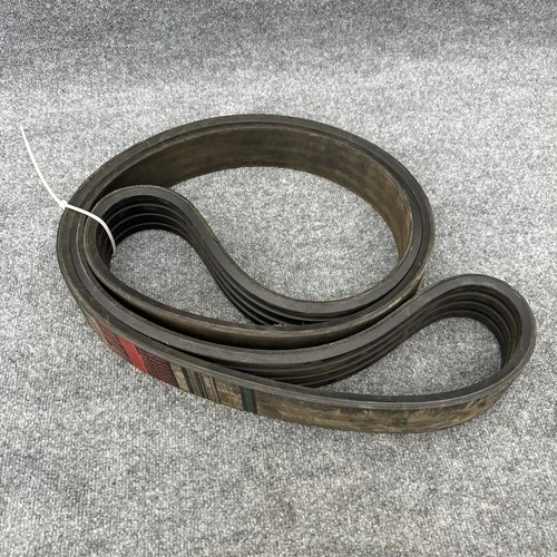 New | in-Stock Jason RB-148 Belts California US | Davliegogo LLC #1705405