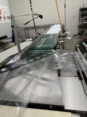 Used SHANKLIN F-1A CDA Horizontal Side Sealers Pennsylvania US | Global Equipment International, LLC #444115