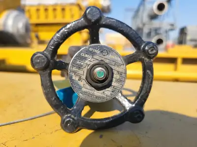 USED 2019 CHAODA VALVES GROUP API 602