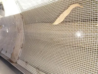 USED SPRAY DYNAMICS 72