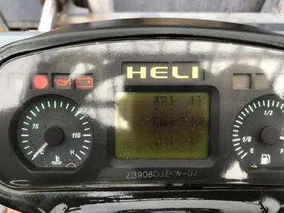 USED 2009 HELI FD220