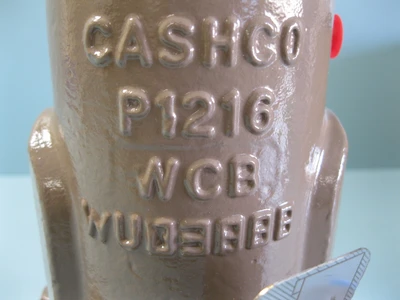 NEW Cashco D56-5XX7-XAX55488E