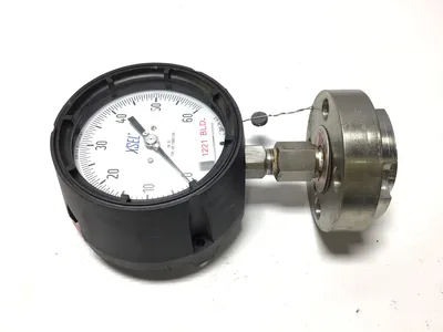 AMETEK U.S. Pressure Gauge Assembly 0–60 PSI Liquid Filled Diaphragm Seal