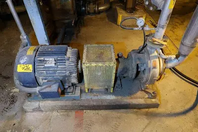 USED GOULDS 3196