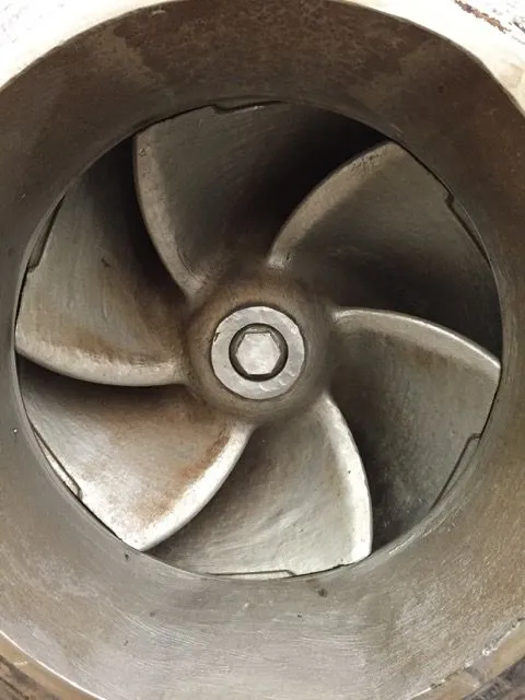 USED Goulds 3175