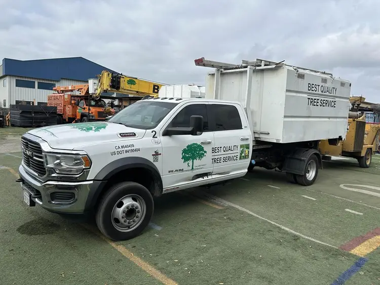 Used 2020 RAM 5500 Service & Utility Trucks California US | Ben Kaplan Equipment #1443251