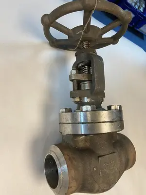 New | in-Stock BONNEY FORGE HL-18L Pump & Valve Parts Ohio US | Surplus Asset Holdings #1241397