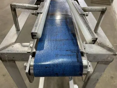 31" Flat Belt Conveyor