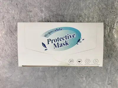 Disposable Protective Mask 17.5 x 9.5 cm, Non Medical, (Total 3000 pcs)