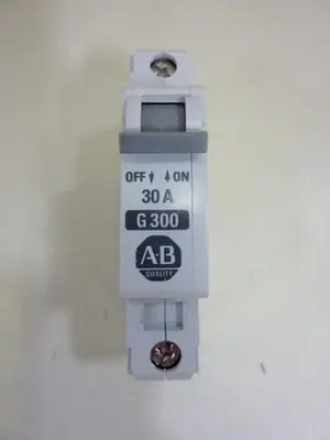 USED ALLEN BRADLEY 1492-CB1/G300 SER B